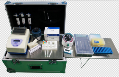 喜報 | 上海快靈推出多重專利基因試紙卡，引領精準檢測新篇章