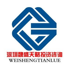 深圳魏盛天略企業投資咨詢 專業賦能，驅動企業價值增長